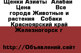 Щенки Азиаты (Алабаи) › Цена ­ 20 000 - Все города Животные и растения » Собаки   . Красноярский край,Железногорск г.